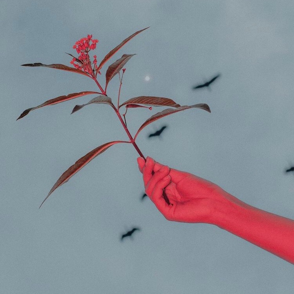 Meet your Posher, Garrison